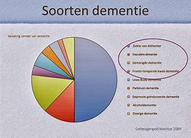 Monarchie geld Knikken Wat is dementie? - Mensen met dementie in Groningen